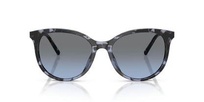 Dolse & Gabana  4540 Sunglasses
