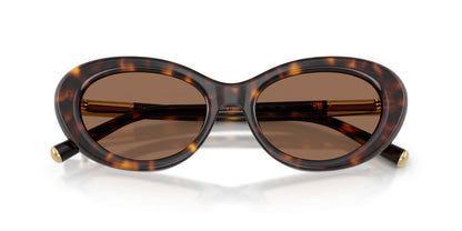 Dolse & Gabana  4519 Sunglasses