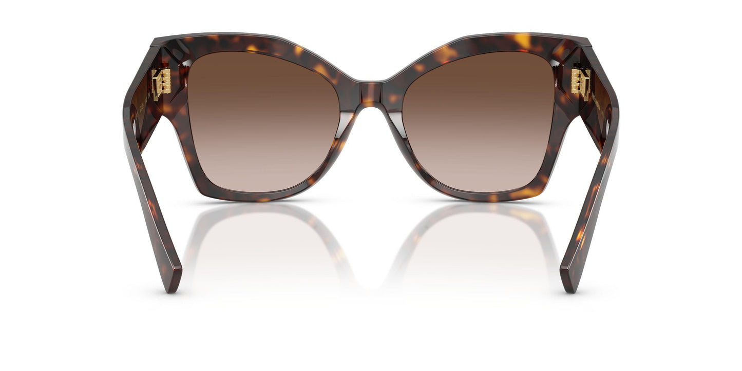 Dolse & Gabana  4478F Sunglasses