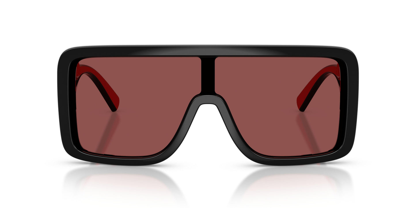Dolse & Gabana  6204 Sunglasses