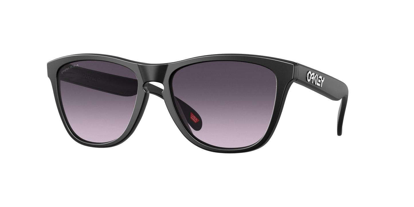 Oakley Frogskins 9245 Sunglasses