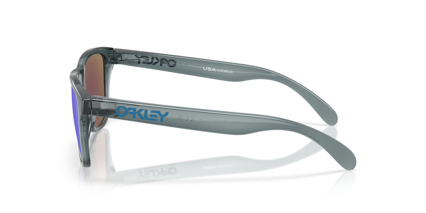 Oakley Frogskins S 9508 Sunglasses