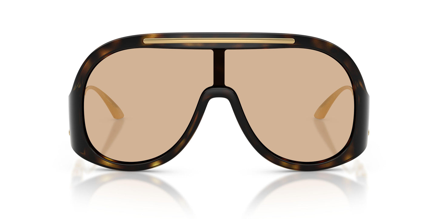 Dolse & Gabana  6202 Sunglasses
