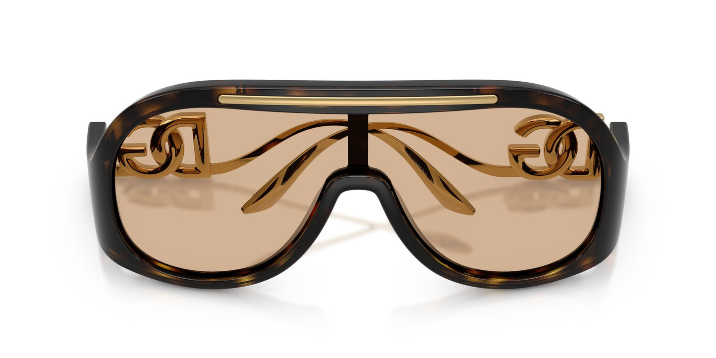 Dolse & Gabana  6202 Sunglasses
