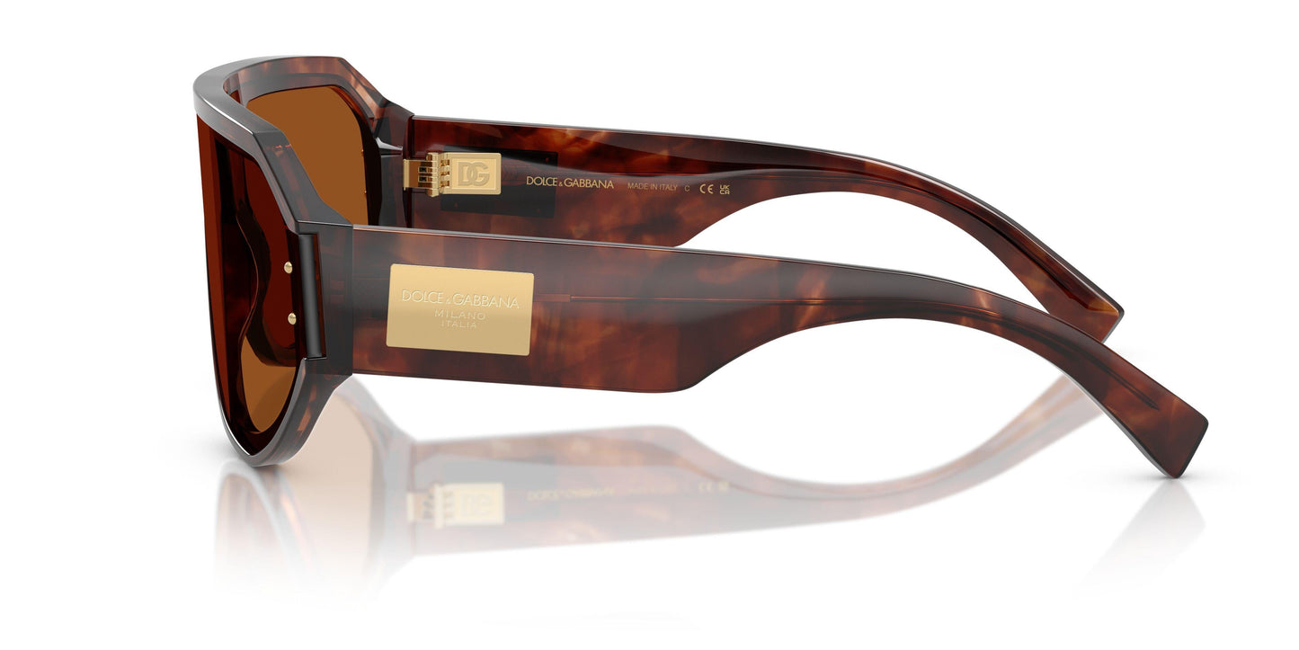 Dolse & Gabana  4481 Sunglasses
