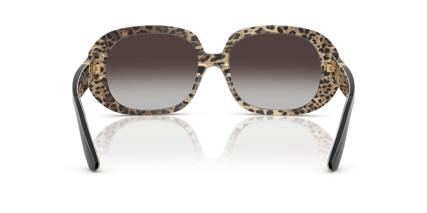Dolse & Gabana  4476 Sunglasses