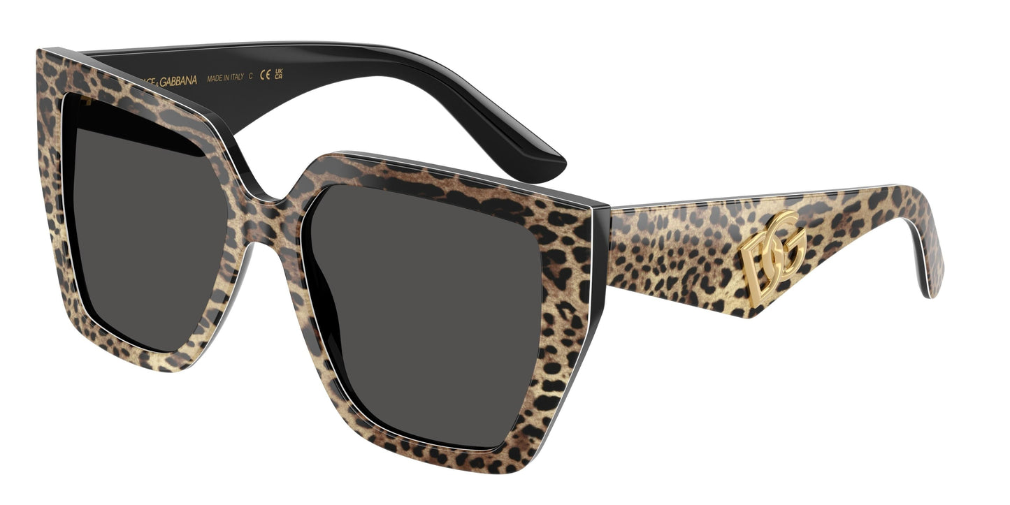 Dolse & Gabana  4438 Sunglasses