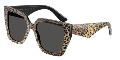 Dolse & Gabana  4438 Sunglasses