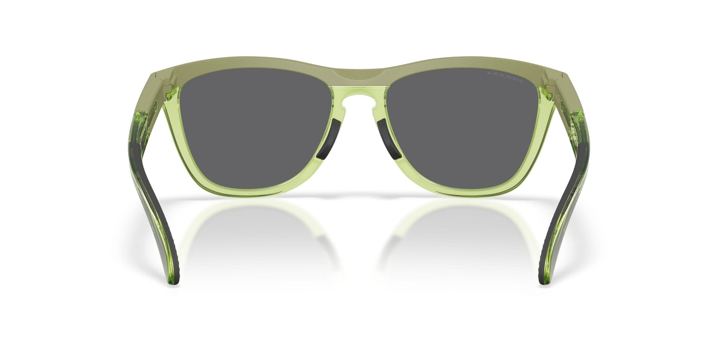 Oakley Frogskins Range Xl 9503 Sunglasses