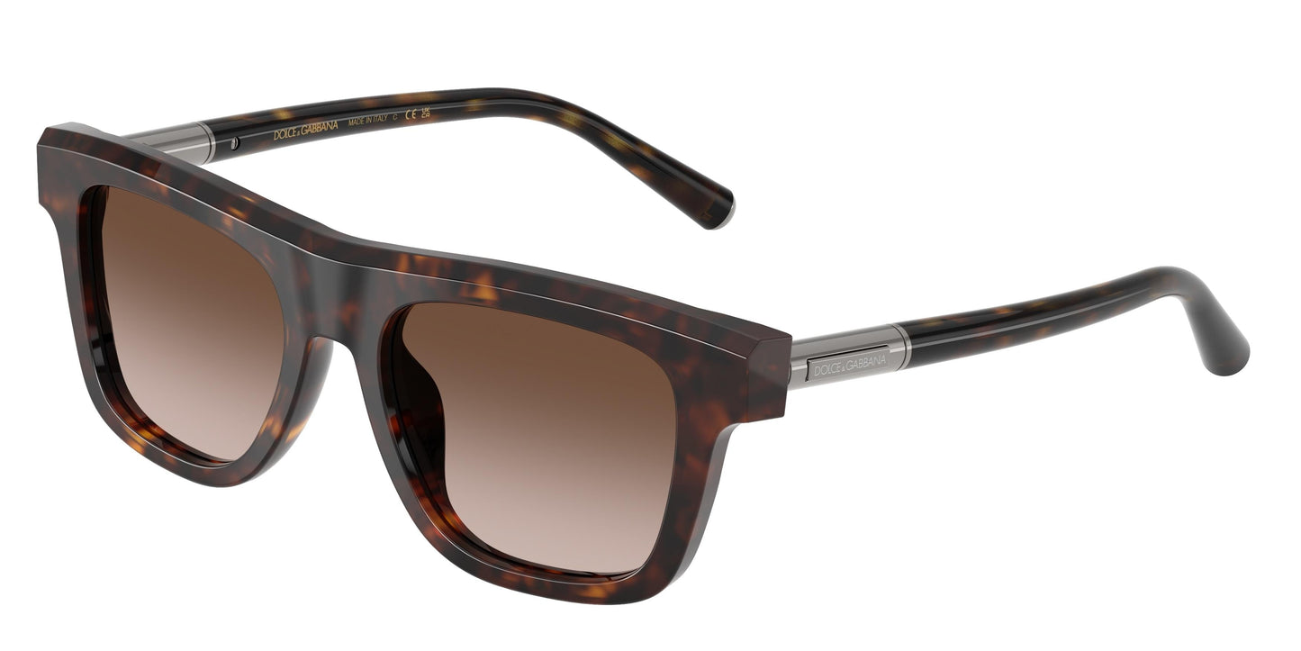 Dolse & Gabana  4521 Sunglasses