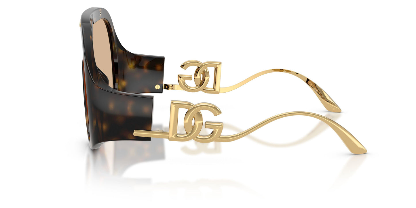 Dolse & Gabana  6202 Sunglasses