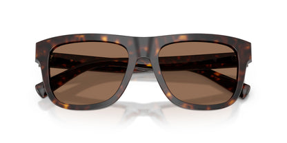 Dolse & Gabana  4545 Sunglasses