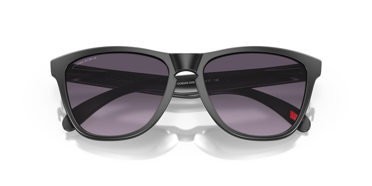 Oakley Frogskins 9245 Sunglasses