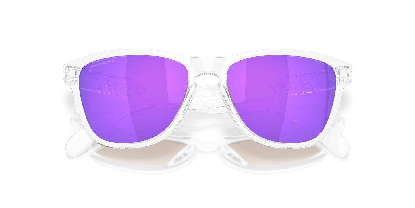 Oakley Frogskins S 9508 Sunglasses