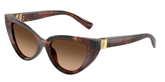 Dolse & Gabana  4497 Sunglasses