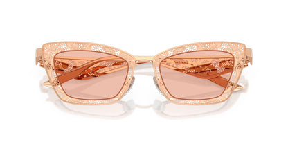Dolse & Gabana  2311 Sunglasses