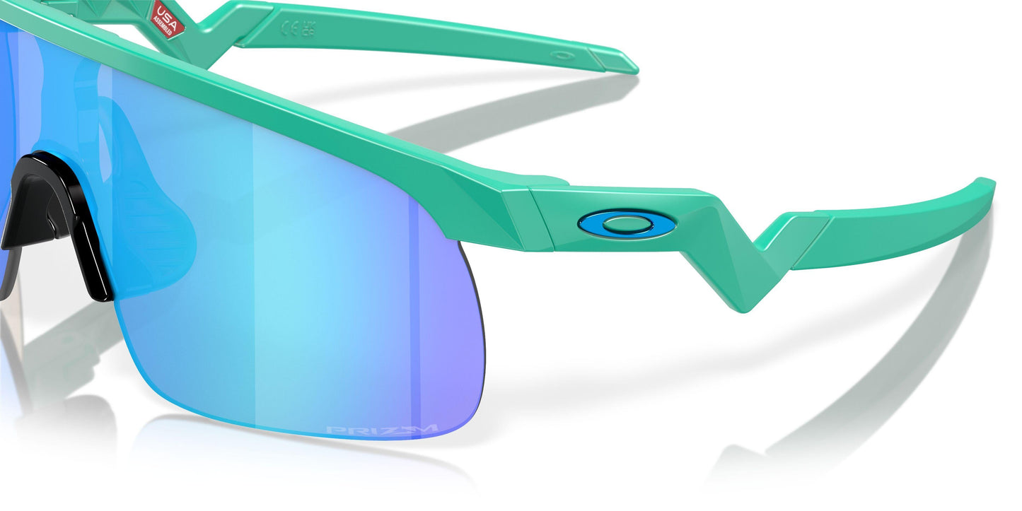 Oakley Resistor 9010 Sunglasses