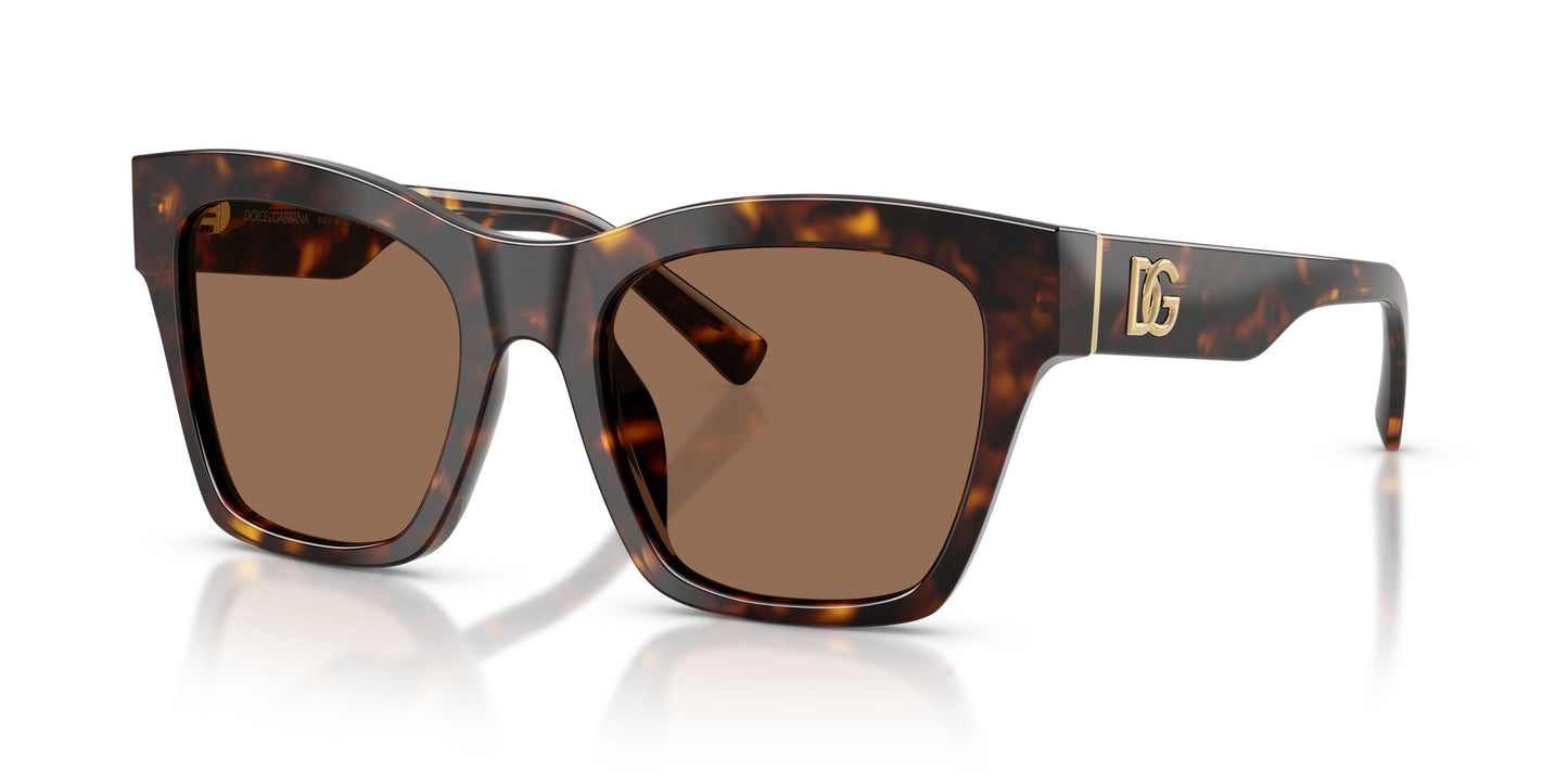 Dolse & Gabana  4512 Sunglasses