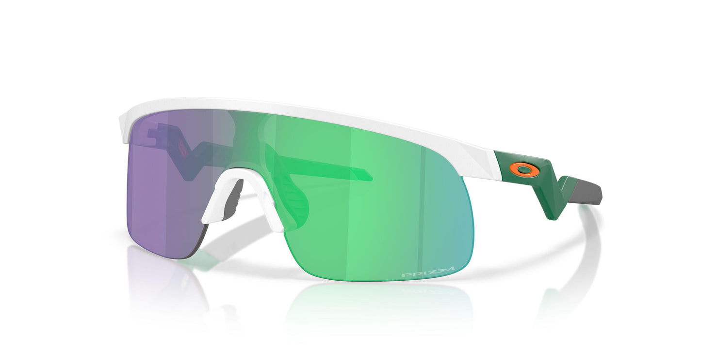 Oakley Resistor 9010 Sunglasses