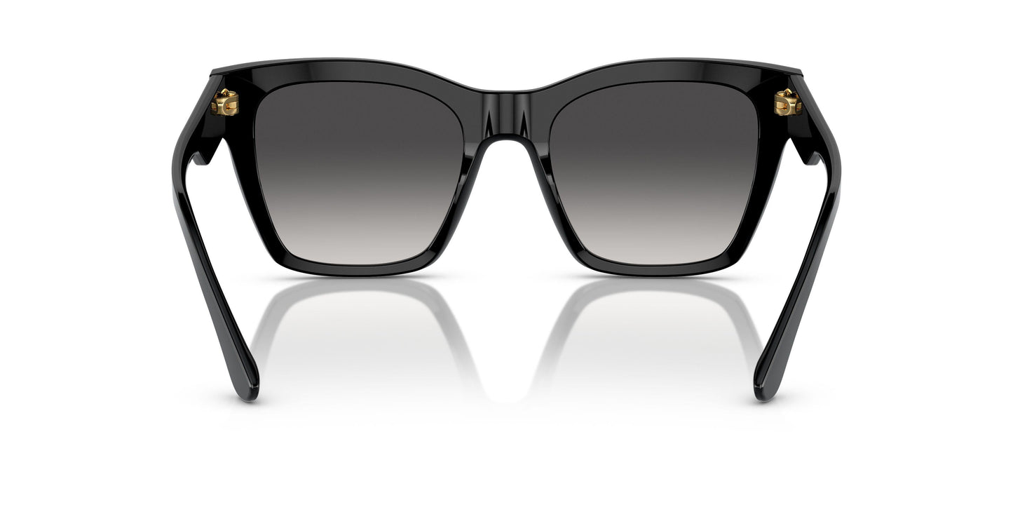 Dolse & Gabana  4384 Sunglasses