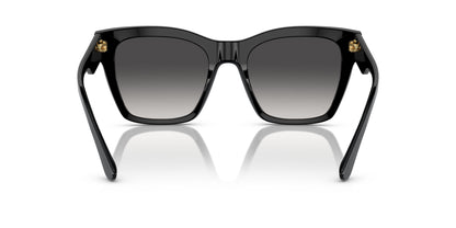 Dolse & Gabana  4384 Sunglasses