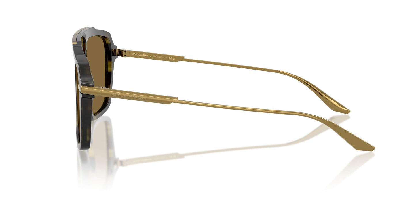 Dolse & Gabana  4477 Sunglasses