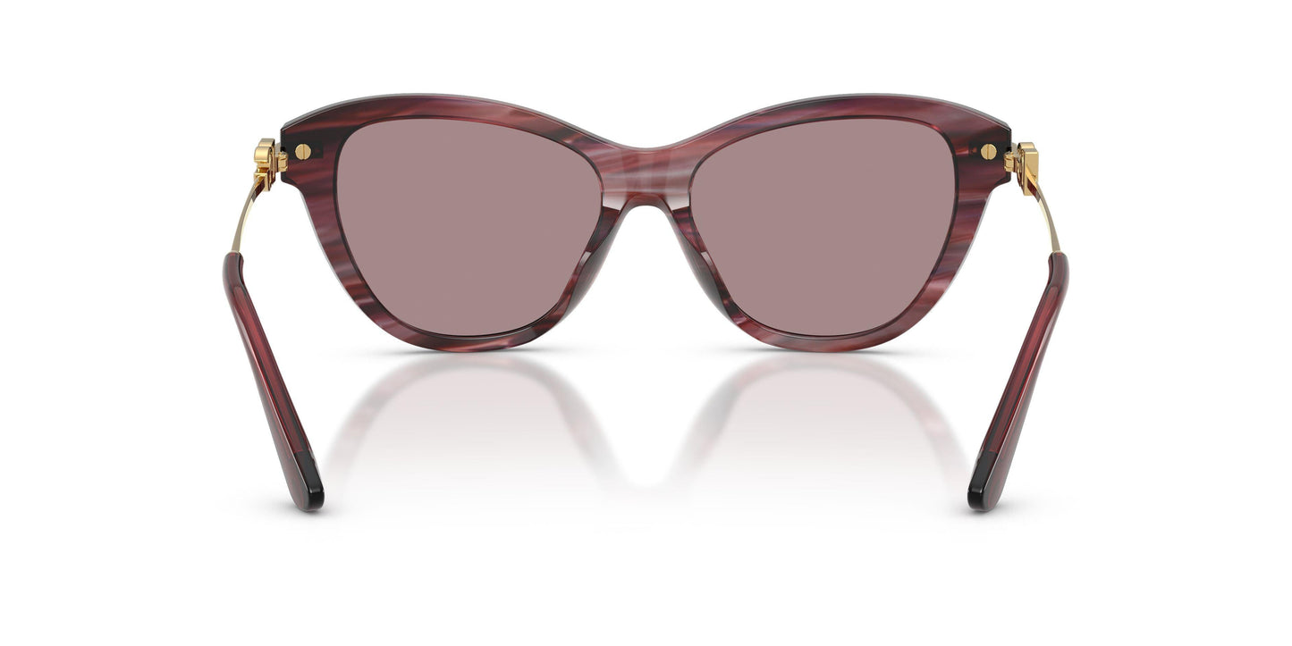 Dolse & Gabana  4534 Sunglasses