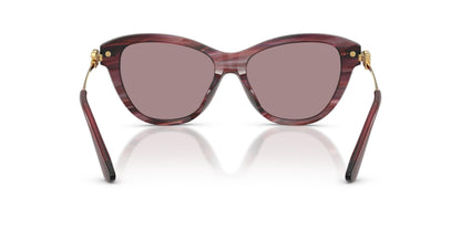 Dolse & Gabana  4534 Sunglasses