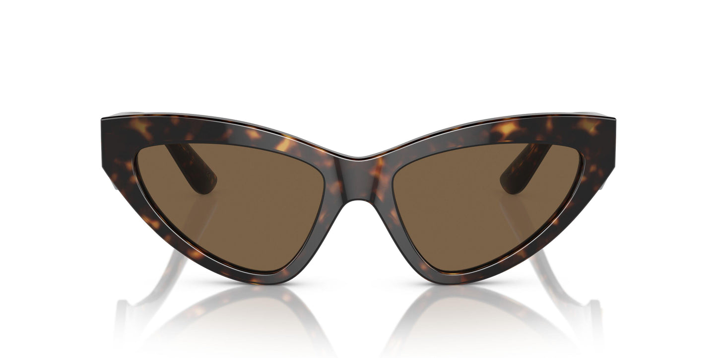 Dolse & Gabana  4439 Sunglasses