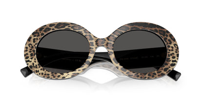 Dolse & Gabana  4448 Sunglasses