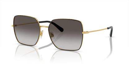Dolse & Gabana  2242 Sunglasses