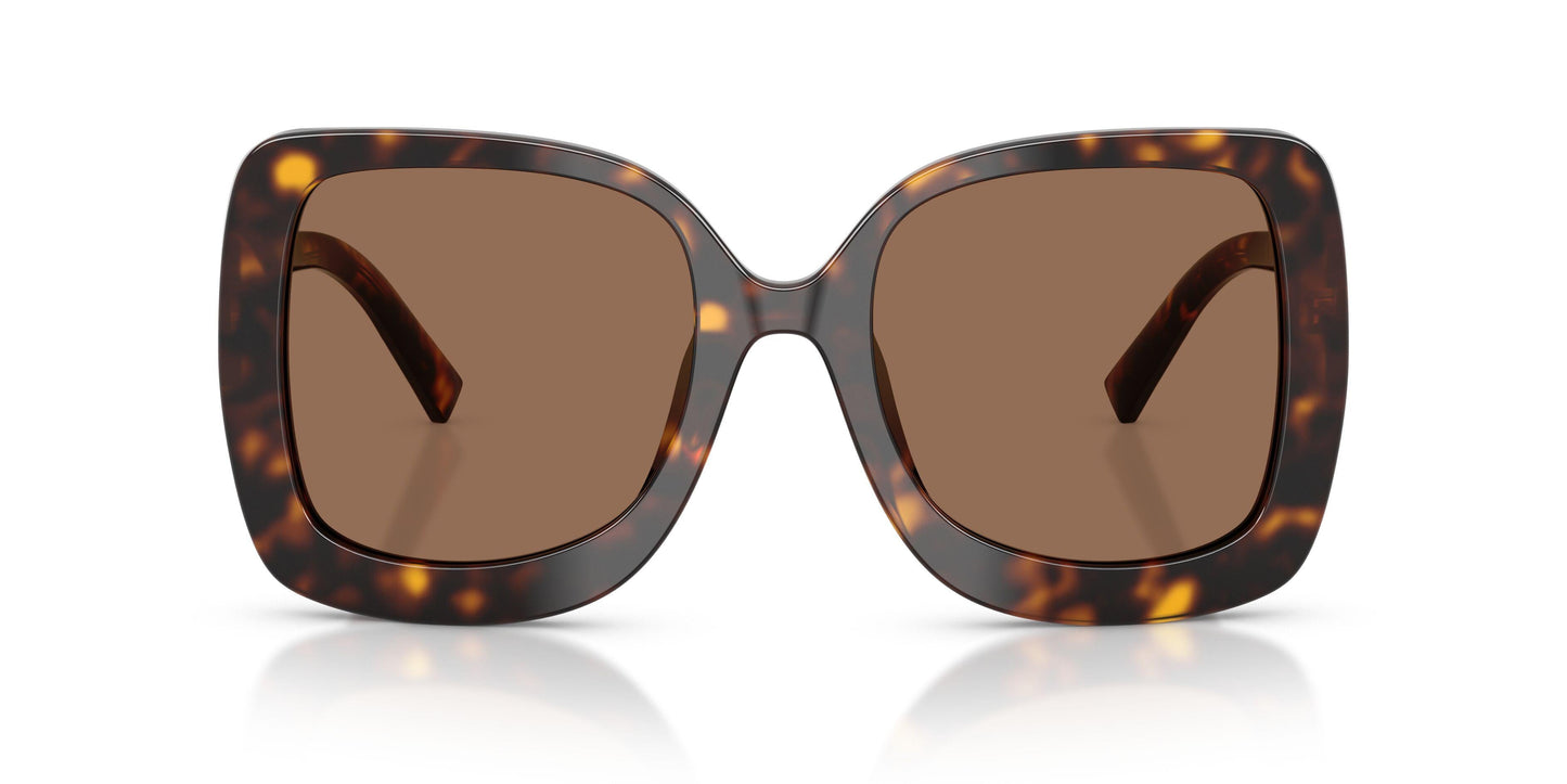 Dolse & Gabana  4513 Sunglasses