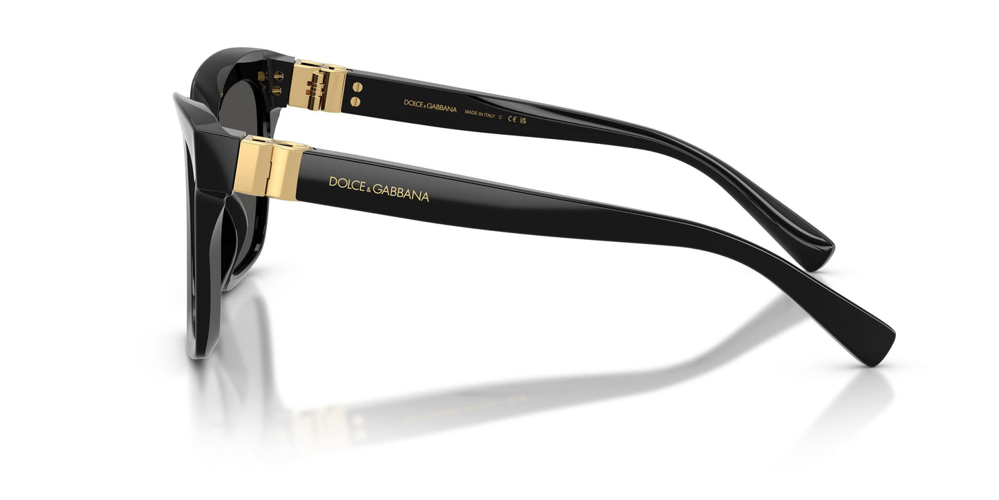 Dolse & Gabana  4498 Sunglasses