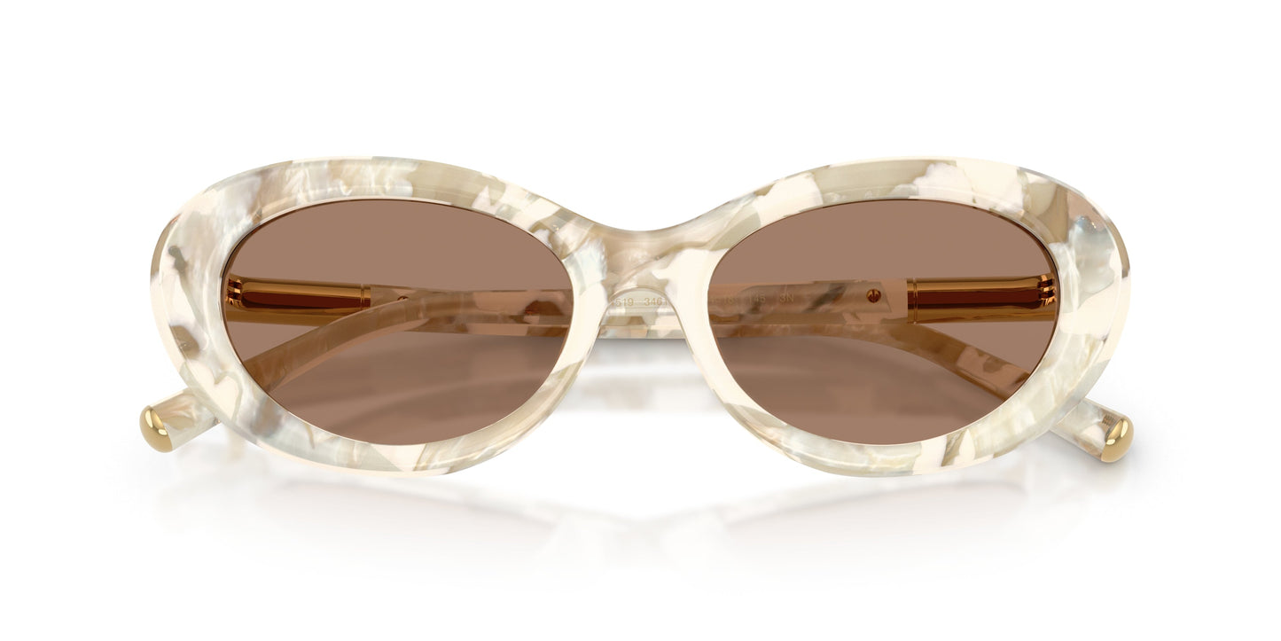 Dolse & Gabana  4519 Sunglasses