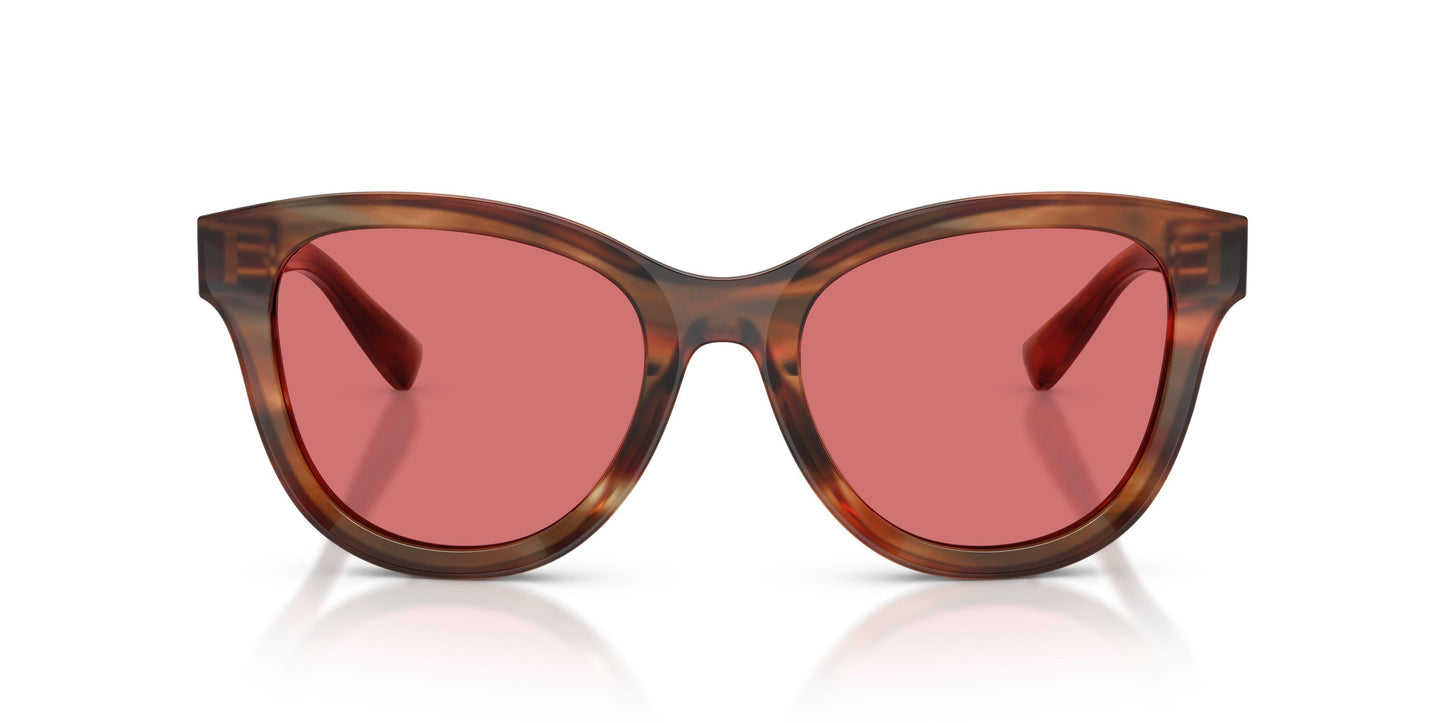Dolse & Gabana  4533 Sunglasses