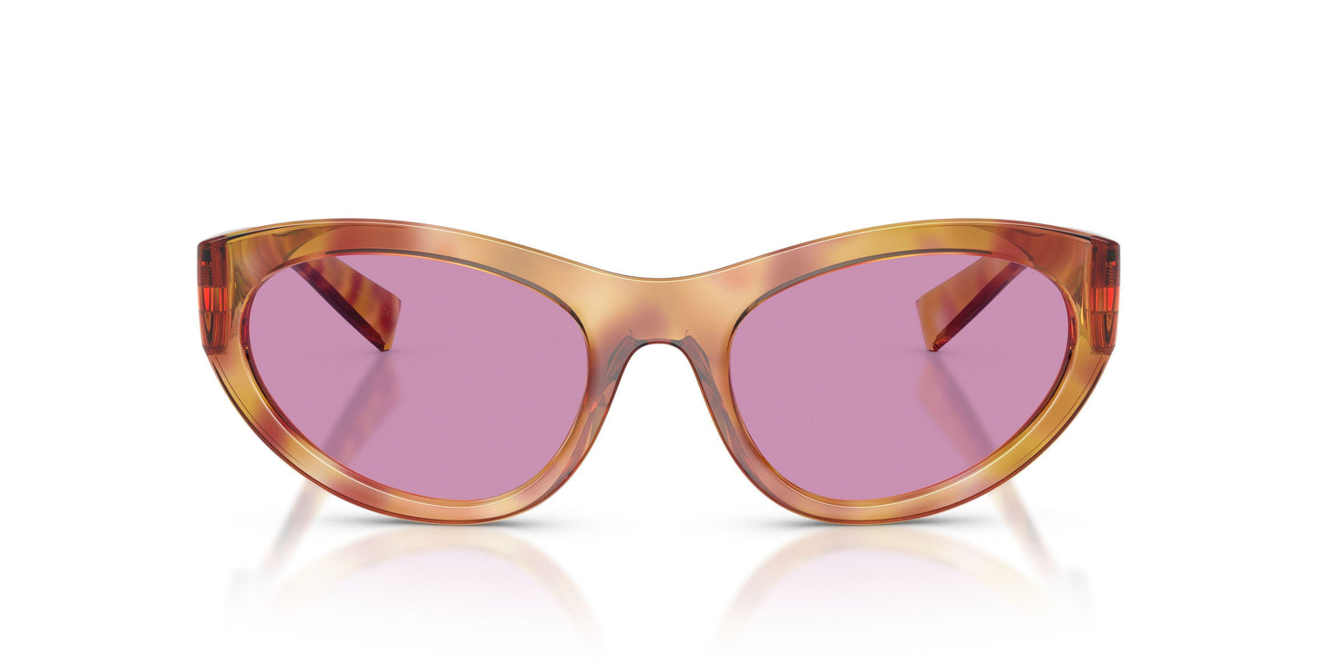 Dolse & Gabana  6207 Sunglasses