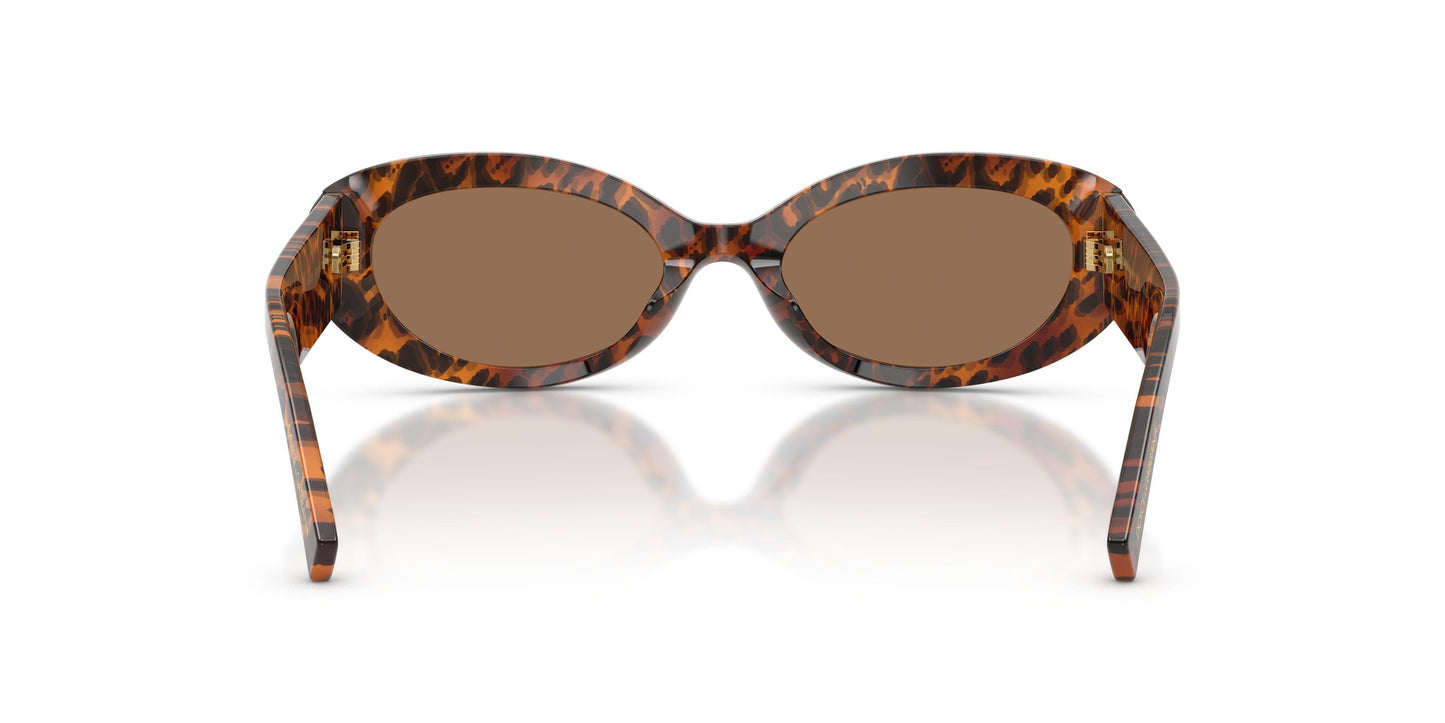 Dolse & Gabana  4537 Sunglasses