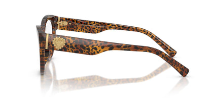 Dolse & Gabana  3440 Eyeglasses