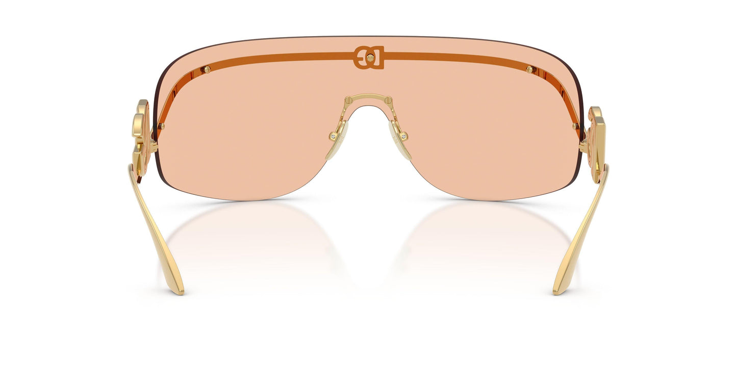 Dolse & Gabana  2320 Sunglasses