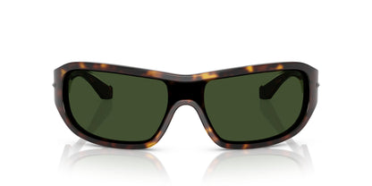 Dolse & Gabana  4486 Sunglasses