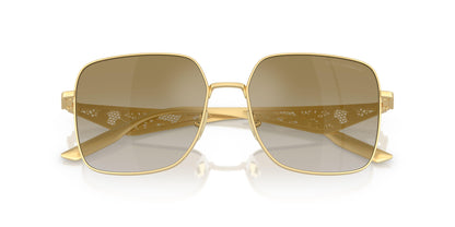 Dolse & Gabana  2310 Sunglasses