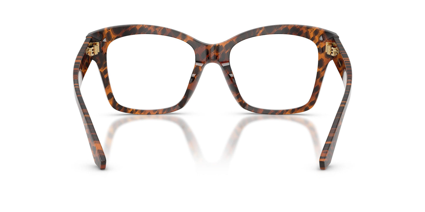 Dolse & Gabana  3419 Eyeglasses