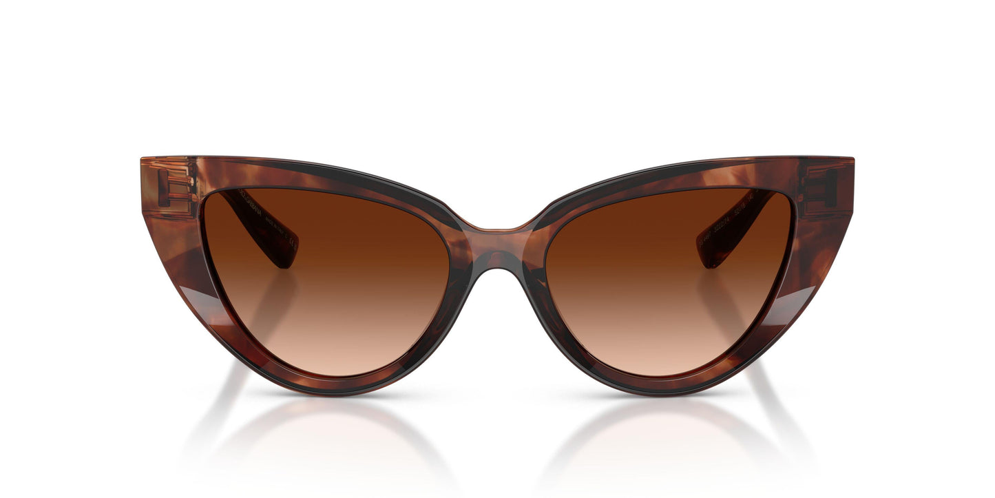 Dolse & Gabana  4497 Sunglasses