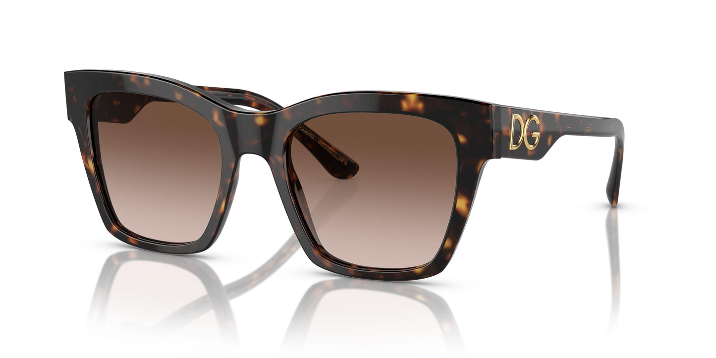 Dolse & Gabana  4384 Sunglasses