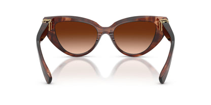 Dolse & Gabana  4497 Sunglasses