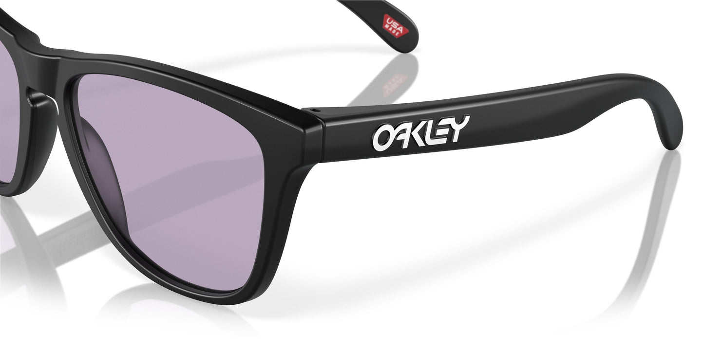Oakley Frogskins 9245 Sunglasses