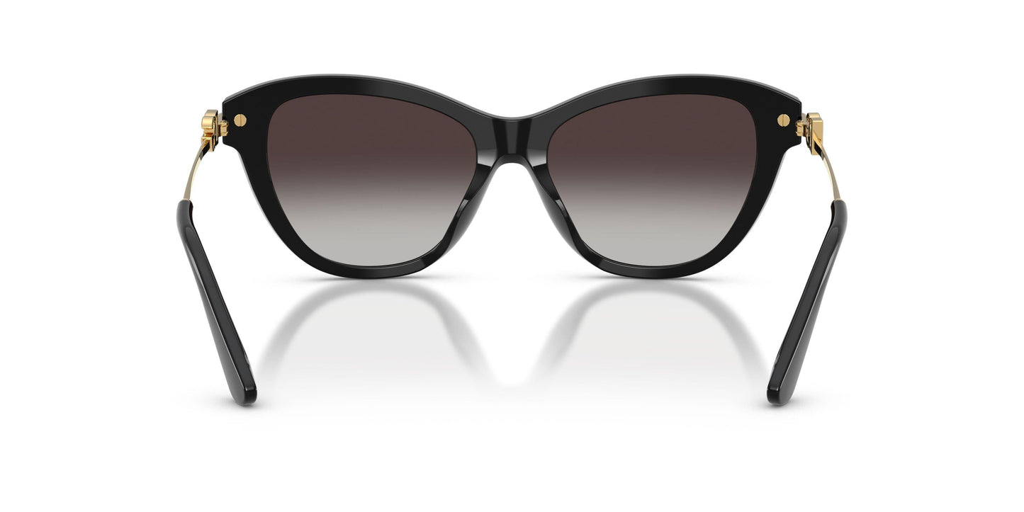Dolse & Gabana  4534 Sunglasses