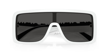 Dolse & Gabana  6204 Sunglasses