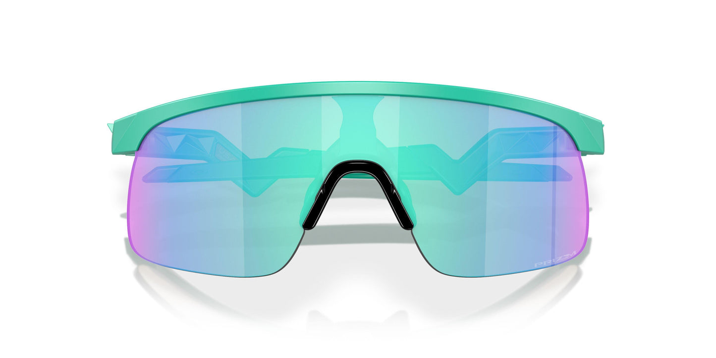 Oakley Resistor 9010 Sunglasses