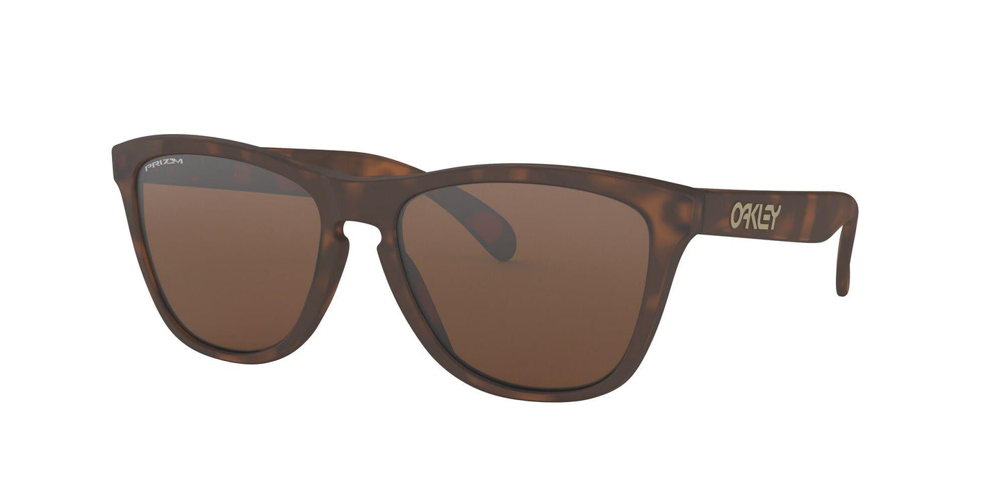 Oakley Frogskins 9013 Sunglasses